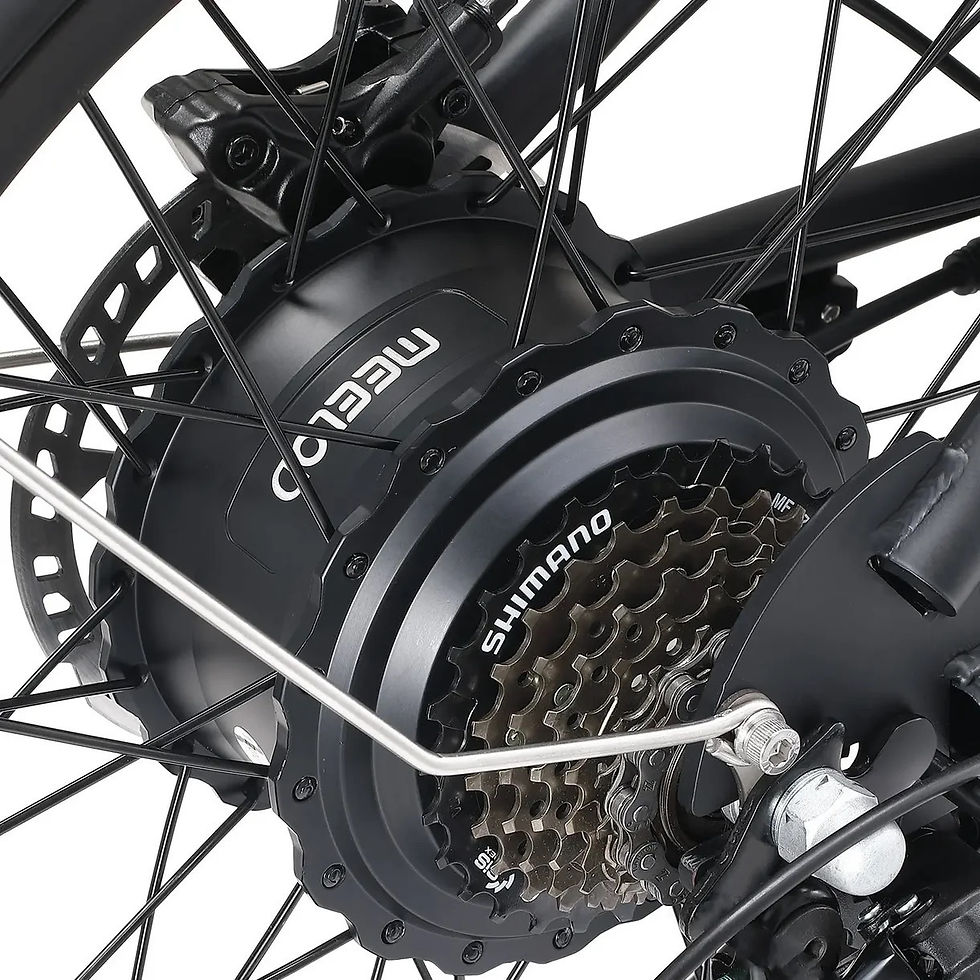 Thumbnail: DK300 MAX - 2400W Dual Motor - Dual Battery