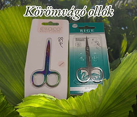 Photoroom_20250118_215519.jpeg