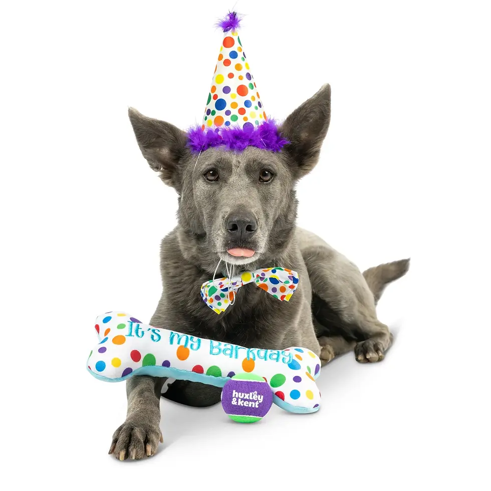 Thumbnail: CELEBRATION BOX!