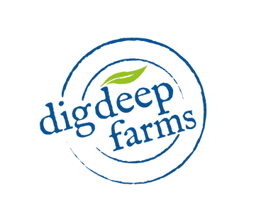 DDF Logo.png