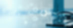 iStock-1369987284.jpg