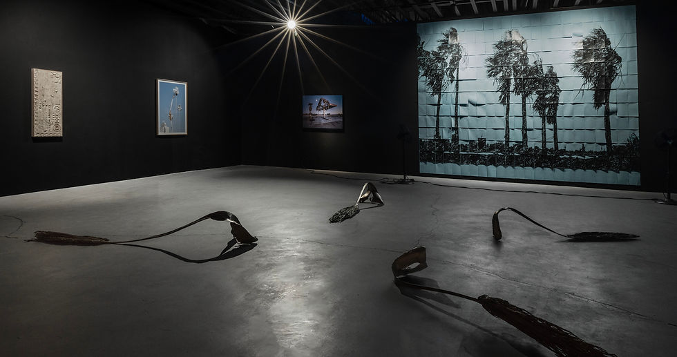 GALLERY_TWO_1.jpg