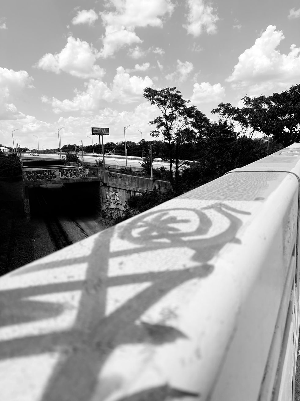 IMG_1423.JPEG