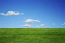 green pasture