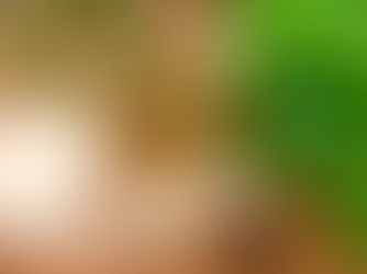 Homemade: A Twist on Pesto