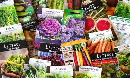 Garden Duties: Fall Garden Planning