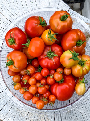 Homemade: Tomato Soup