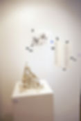 Exposition carte blanche