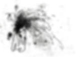 Explosion