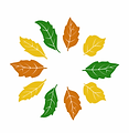 logo escola.png
