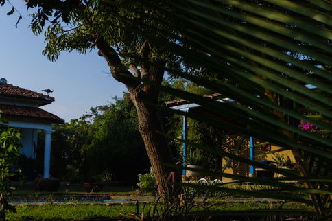 DSCF2901.jpg