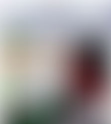 Dernière visite avant Noël le 17 décembre