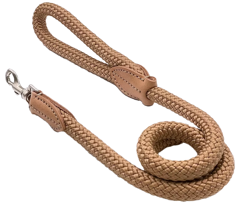 Leash for Molossers