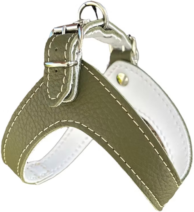 Real Leather Kite Harness