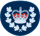 WO2.gif