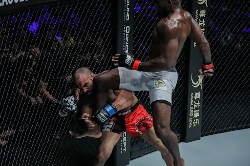 Muay Thai In MMA