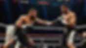 Unraveling the Mysteries of Professional Boxing Weight Classes: Champions, Matchmaking, and Title Fights