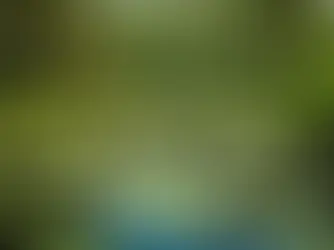 The Hidden Treasures of Swamp Fishing: Navigating the Unique Challenges and Uncovering Diverse Fish Species