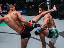 Muay Thai in MMA: Mastering the Art of Eight Limbs for Success in the Octagon