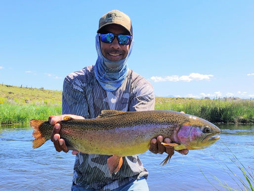 Unraveling the Secrets of Stream Fishing: A Guide to Mastering Flowing Waters