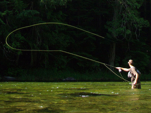 Fly Fishing Technique In Action