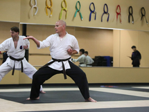 Karate Kicks and MMA Tricks: The Secret Blend of Strikes in the Cage