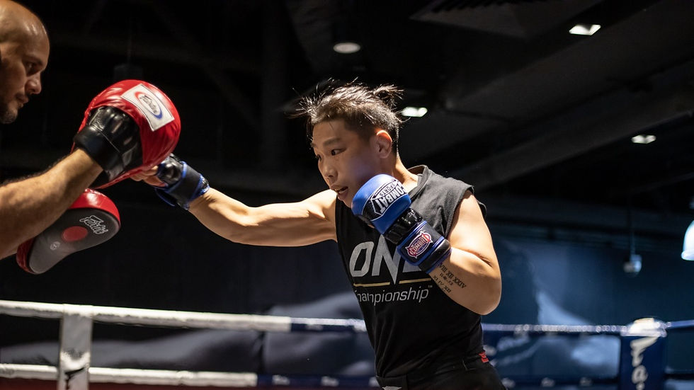 MMA