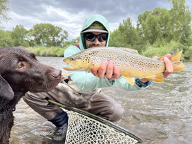 Finding the Perfect Balance How Often Should You Go Fishing Each Week for Optimal Wellness