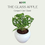 Thumbnail: The Glass Apple-Corporate Gifting