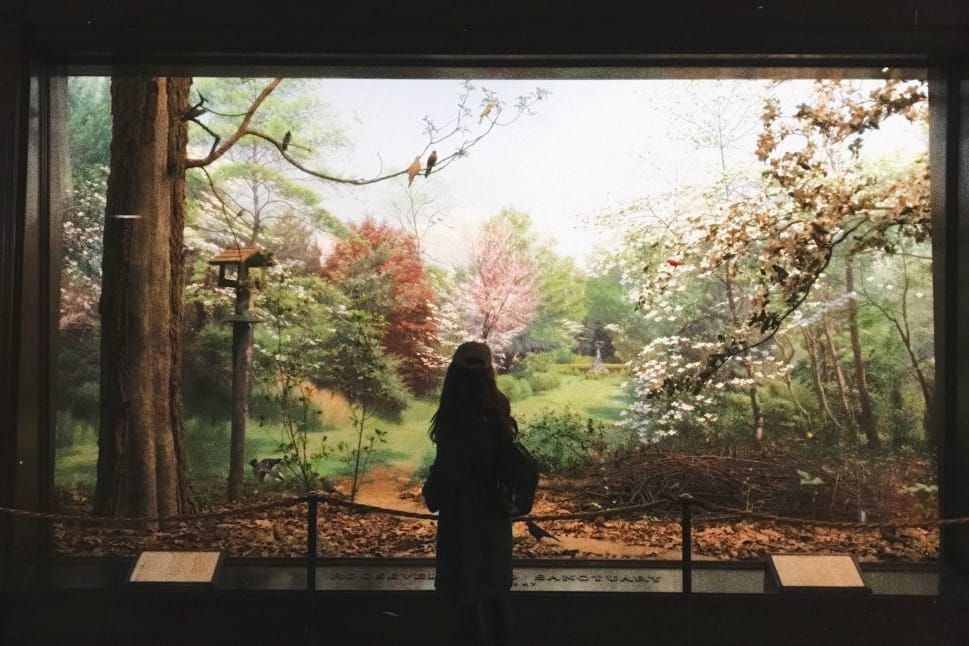 MUSEO HISTORIA NATURAL