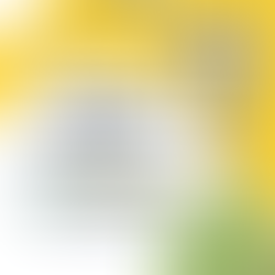 The Hidden Costs of In-House Accounting Teams in US