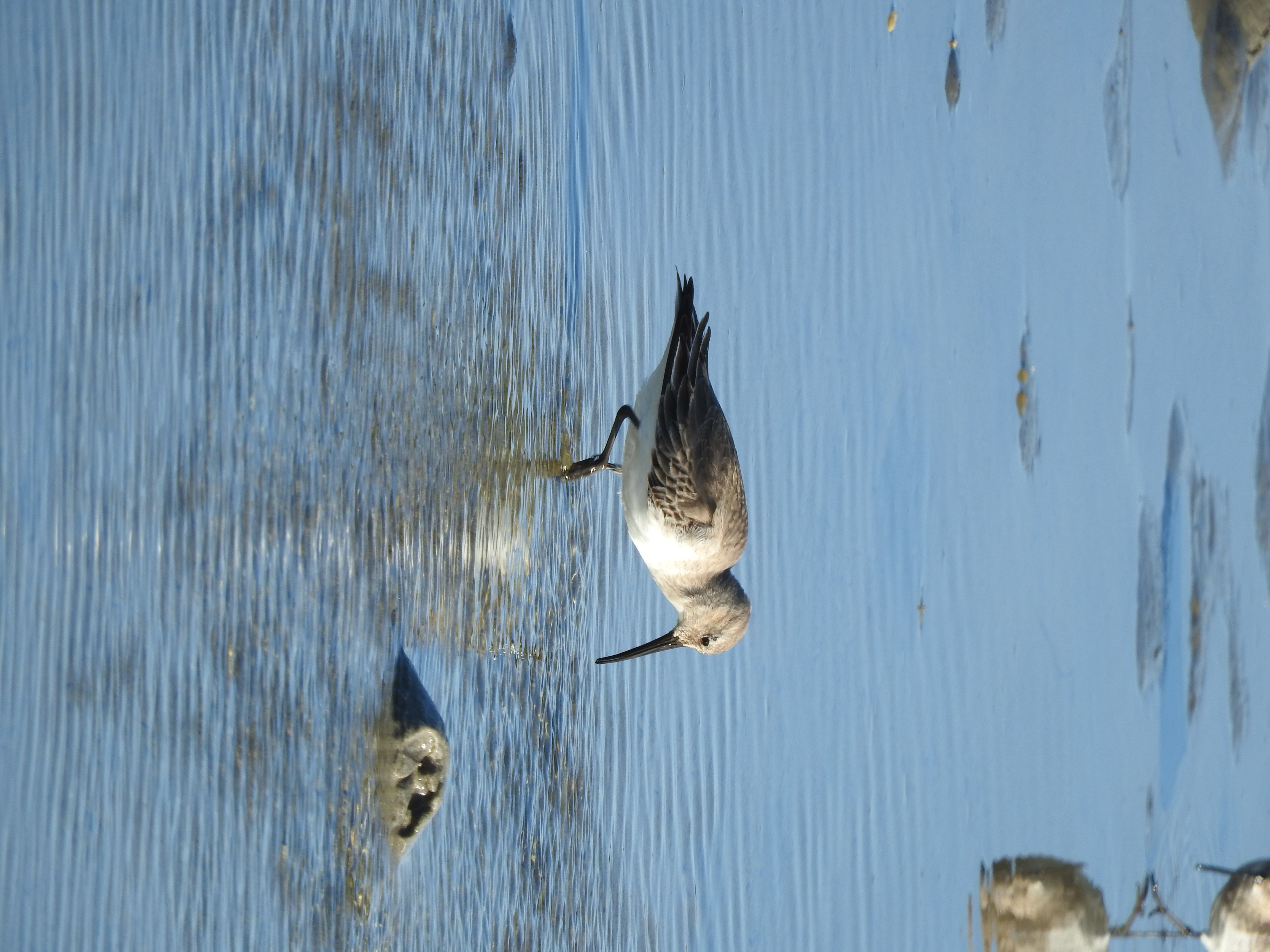 Foto del escritor: Itzeni AC