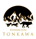 Tonkawa AC logo