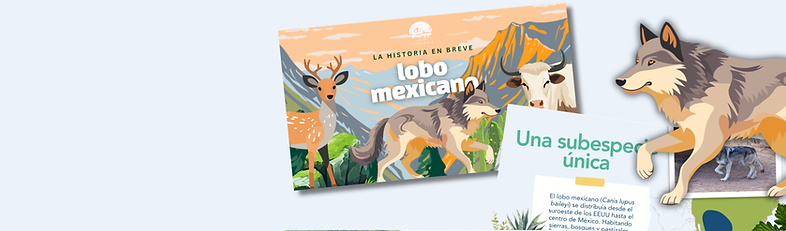 lobo mexicano.png