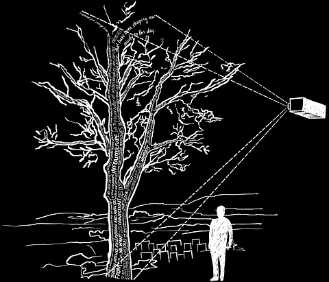 tree-projection.png