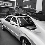 mobile steam cleaning service, only outside of the car black and white.jpg