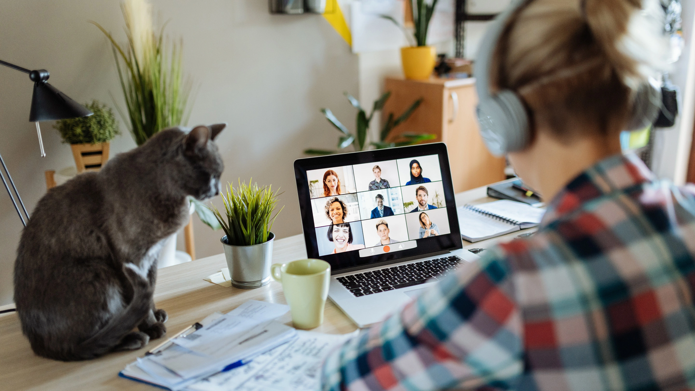 work from home.webp