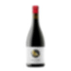 Viña Zorzal Cuatro del Cuatro exkluzivní červené víno Graciano Navarra Španělsko