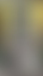 『戦車』のカードを盛大に読み間違えていた話