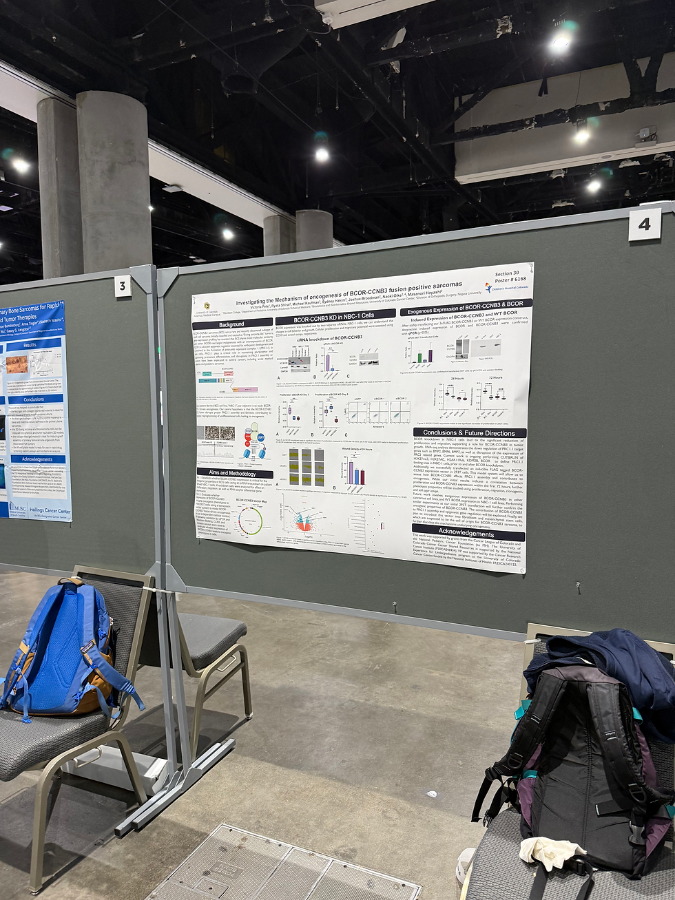 AACR 2026
