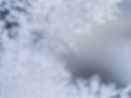 Frosty Fox Cold Room Hire