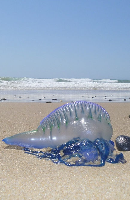 iStock-503635732_edited_edited_edited.jp