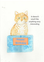 Cat saying present not smelling interesting.jpg