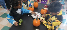 IMG_7940.JPG