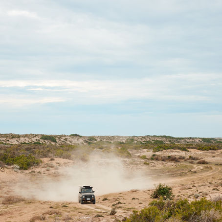 12 Things To Do In Baja California Sur