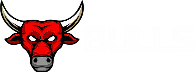 bulls.png