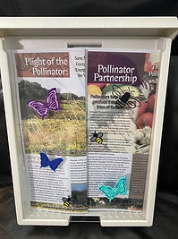 Close up pollinator handout box.jpeg