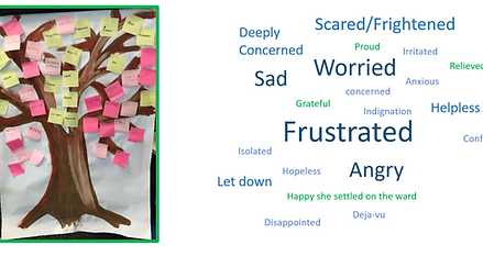 Facilitating Patient Safety Multi-Professional Workshop learning lessons from incidents