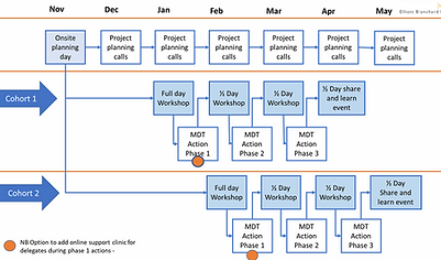 QI collaborative project management timeline planner