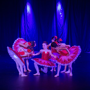 Ballerine in costume durante una coreografia sul palco